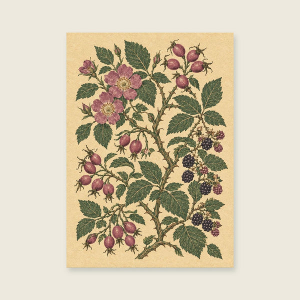 Wild rose hips among bramble stems Art Print