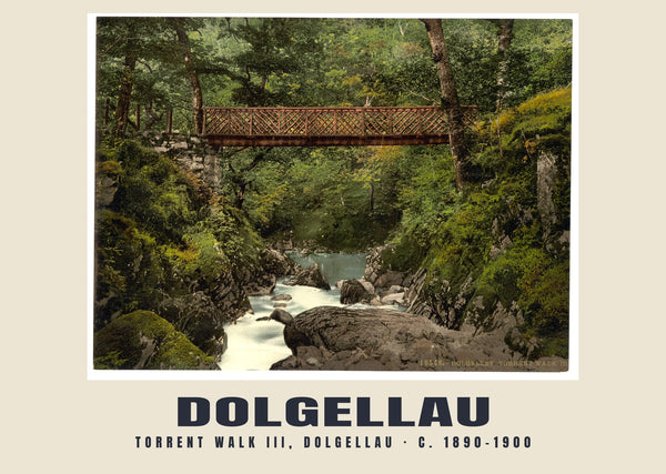 Stampa d'epoca di Torrent Walk III, Dolgellau, 1890–1900 circa
