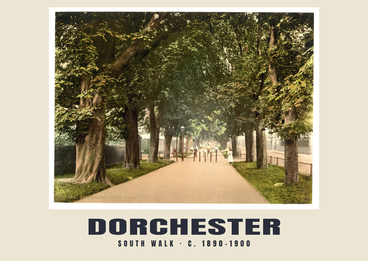 South Walk, Dorchester, c. 1890–1900 Heritage Print