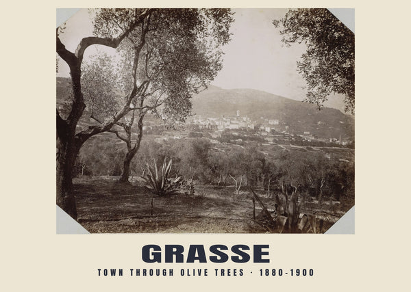 La città tra gli ulivi, Grasse — 1880–1900 · Stampa fotografica storica