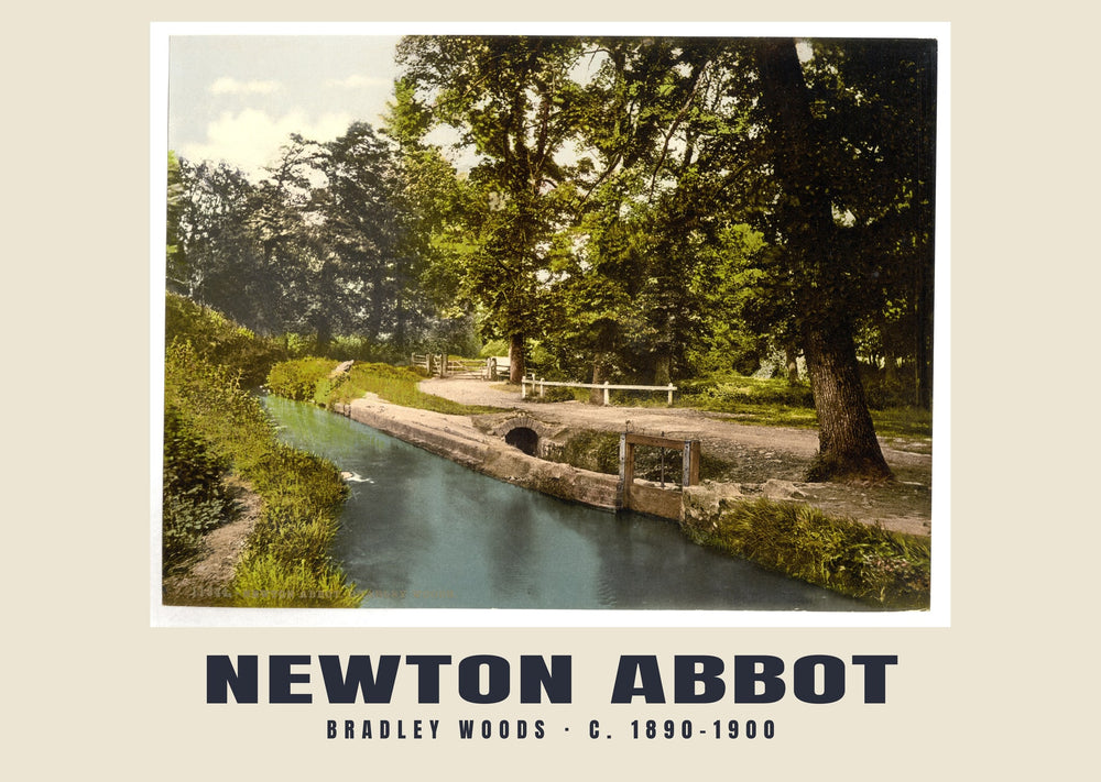 Bradley Woods, Newton Abbot, c. 1890–1900 Heritage Print