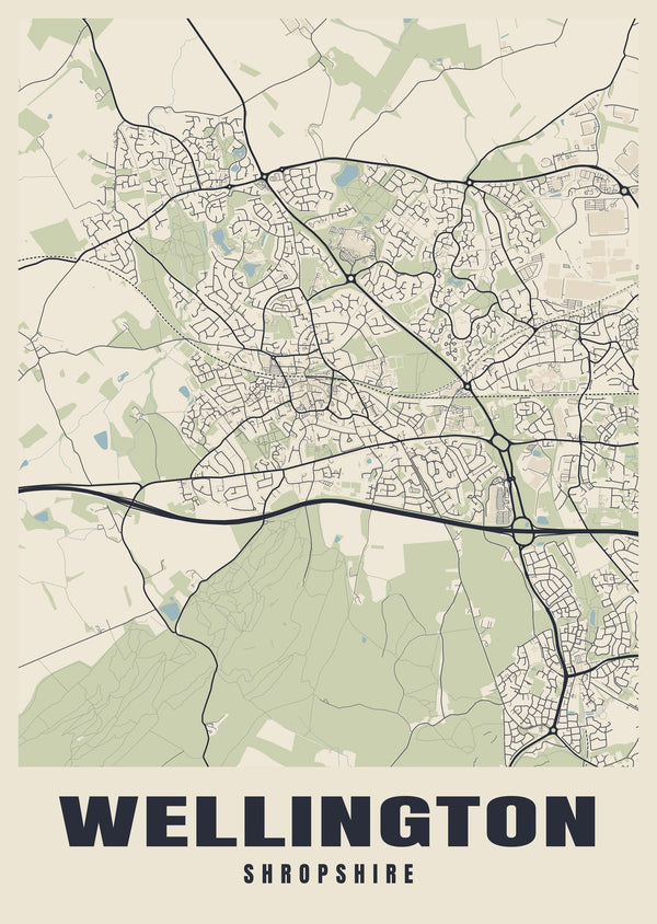Wellington Street Map Poster