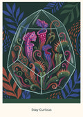 Stay Curious — Botanical Explorers Children’s Art Print