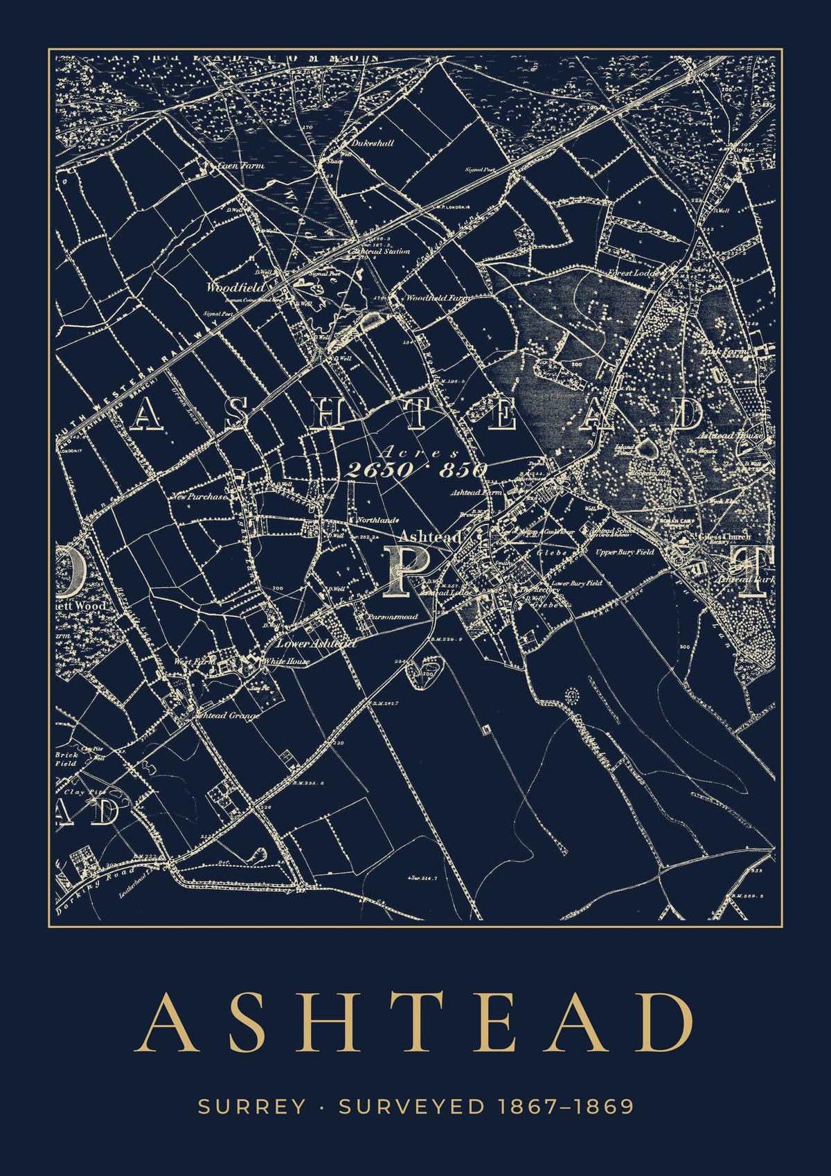 Ashtead old Ordnance Survey map print, surveyed 1867–1869, Night Ink design