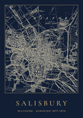 Salisbury old Ordnance Survey map print, surveyed 1877–1879, Night Ink design