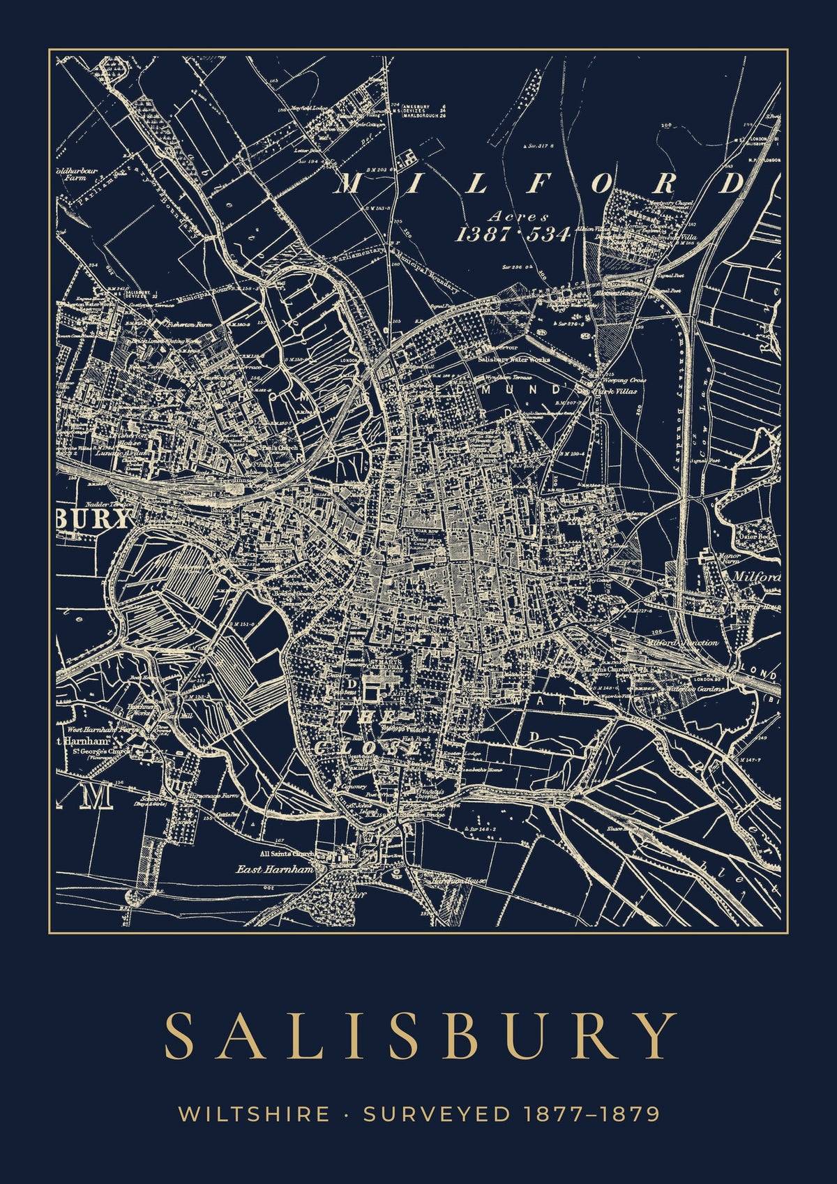 Salisbury old Ordnance Survey map print, surveyed 1877–1879, Night Ink design