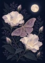 Moth among Moonflowers — artwork detail