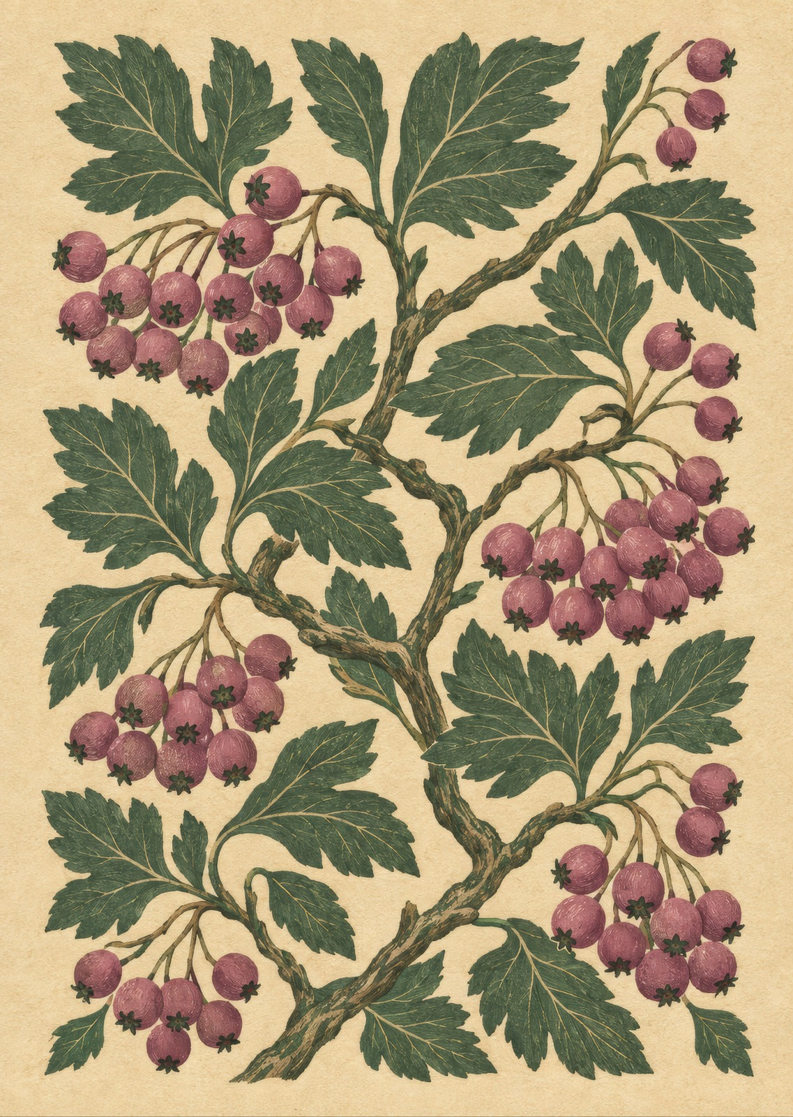 Hawthorn berries and twisting broad leaves — artwork detail