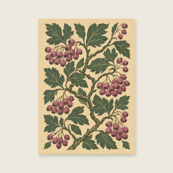 Hawthorn berries and twisting broad leaves Art Print