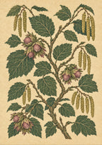 Hazel branches and acorns on a pale textured field — artwork detail