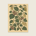 Hazel branches and acorns on a pale textured field — Botanical folk illustration hallway art print