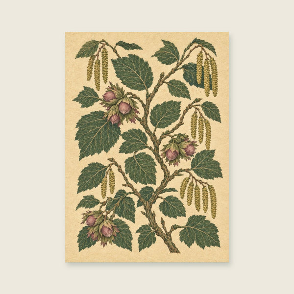 Hazel branches and acorns on a pale textured field Art Print