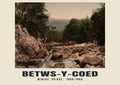 Miners’ Bridge, Betws-y-Coed — Vintage photochrom print, 1890–1900
