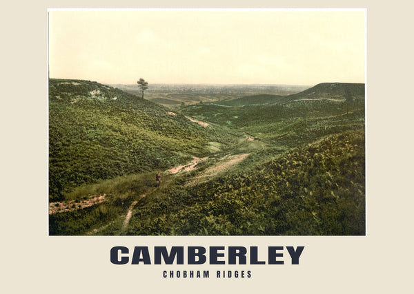 Chobham Ridges, Camberley, c. 1890–1900 Heritage Print