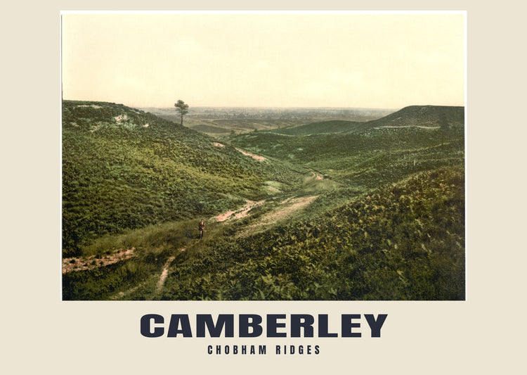 Chobham Ridges, Camberley, c. 1890–1900 Heritage Print