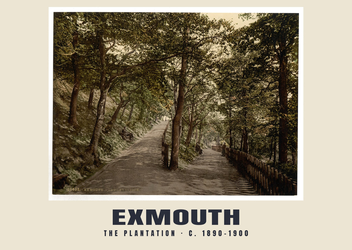 The Plantation, Exmouth, c. 1890–1900 heritage photograph