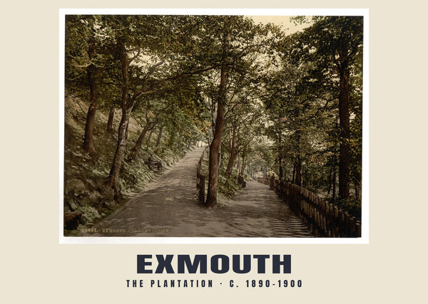 The Plantation, Exmouth, v. 1890–1900, tirage patrimonial