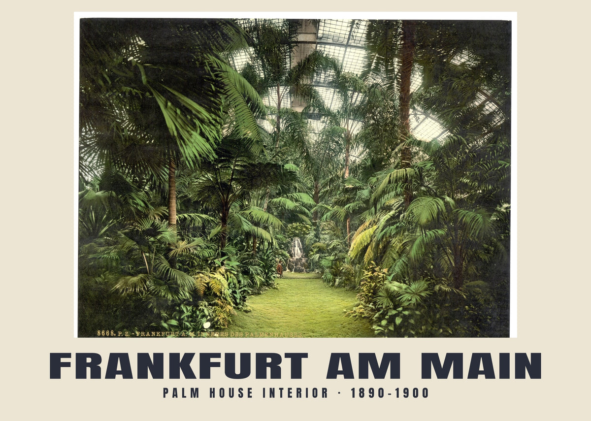 Palm House Interior, Frankfurt am Main, 1890–1900 heritage photograph