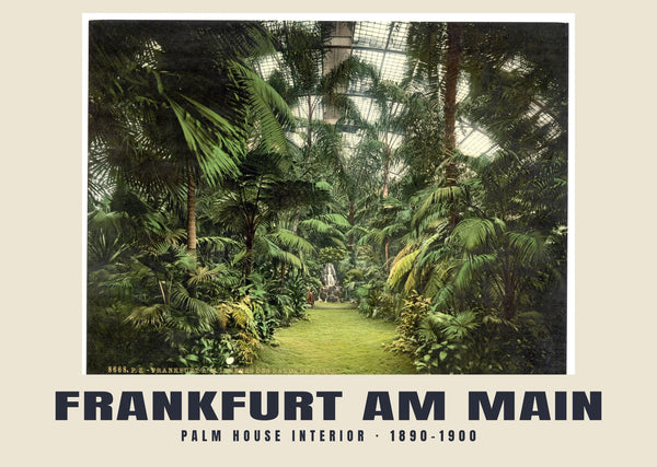 Palm House Interior, Frankfurt am Main — 1890–1900 · Vintage photochrom print