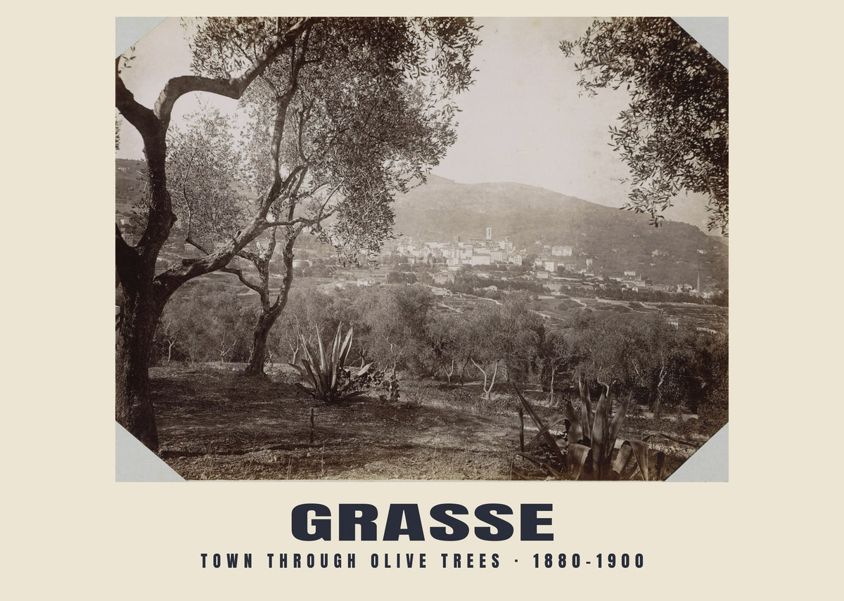 Town through olive trees, Grasse, 1880–1900 heritage photograph