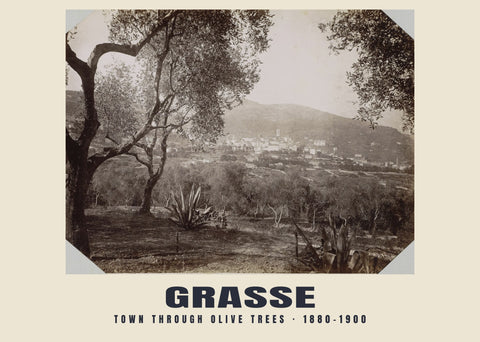 Stadtblick zwischen Olivenbäumen, Grasse — 1880–1900 · Historischer Fotodruck