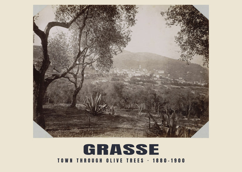 La ville à travers les oliviers, Grasse — 1880–1900 · Tirage photographique historique