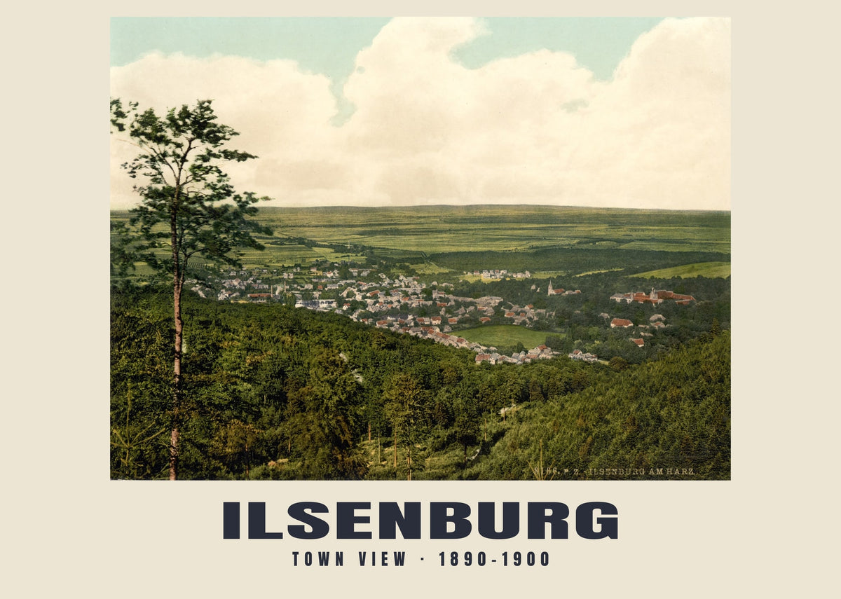 Town View, Ilsenburg, 1890–1900 heritage photograph