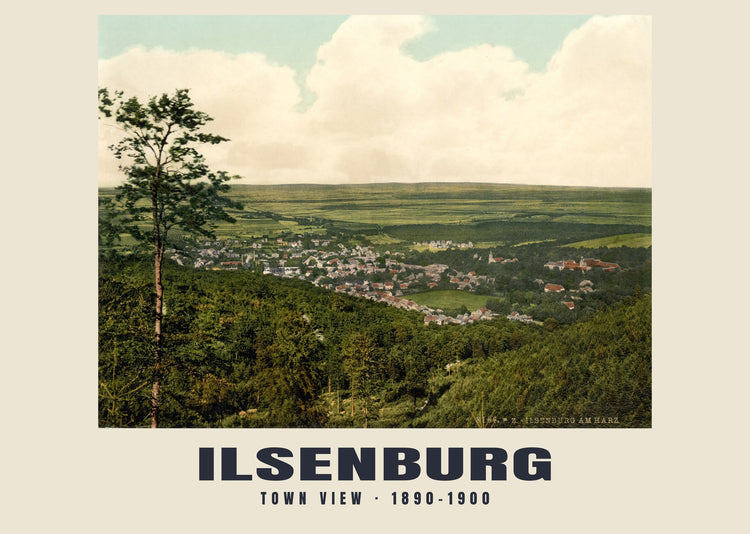 Town View, Ilsenburg — 1890–1900 · Vintage photochrom print
