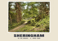 In the woods, Sheringham, c. 1890–1900 heritage photograph