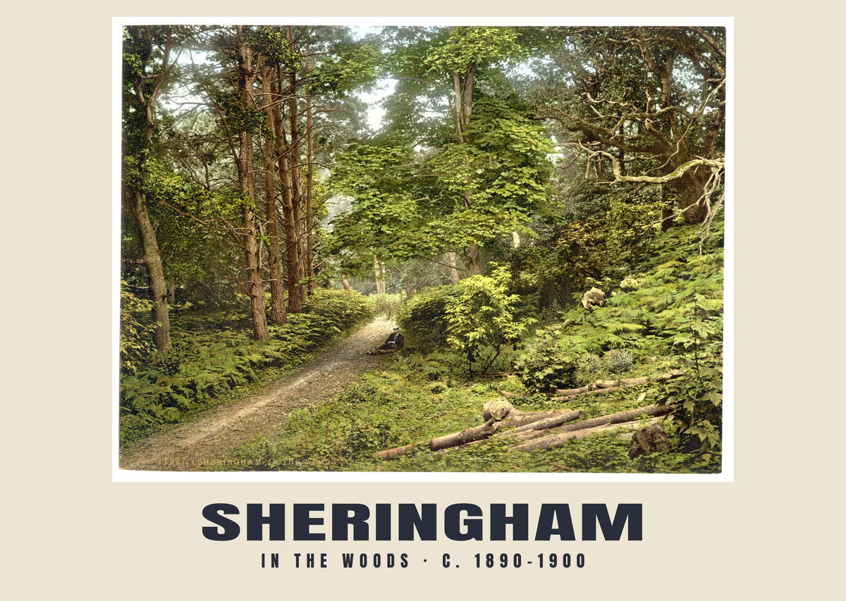 In the woods, Sheringham, c. 1890–1900 heritage photograph