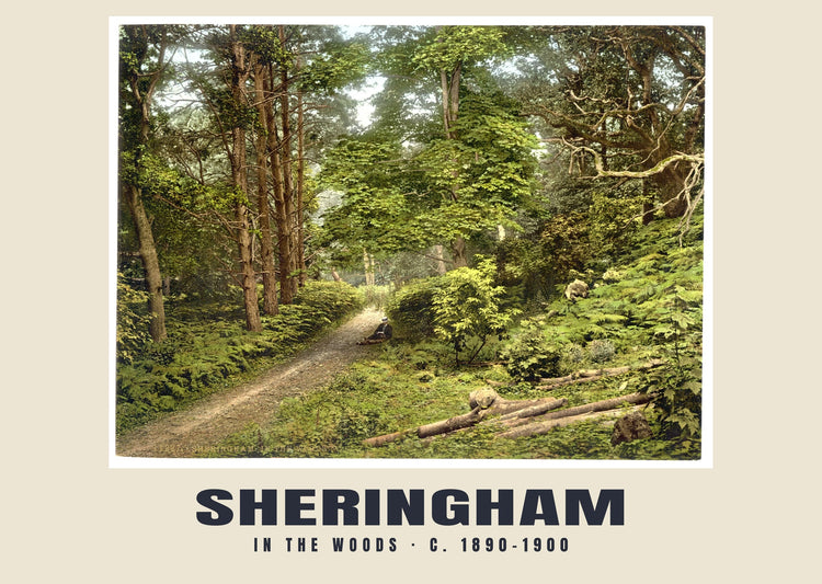 In the woods, Sheringham, c. 1890–1900 Heritage Print
