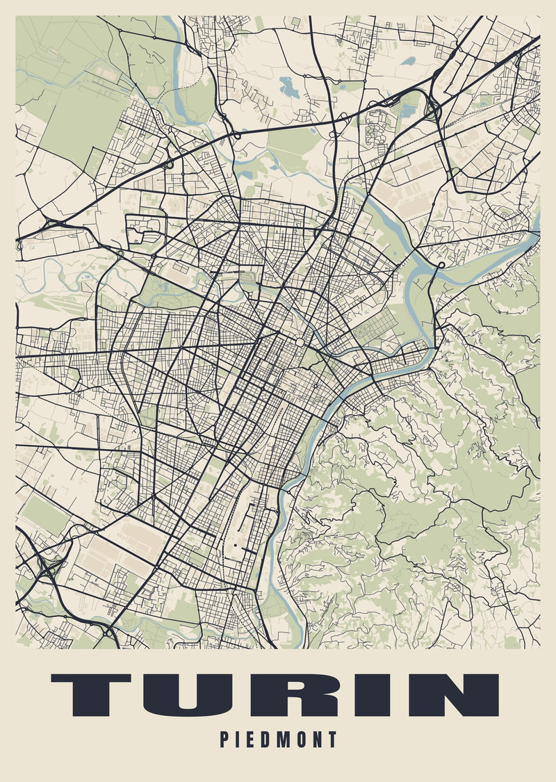 Turin Street Map Poster