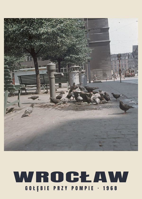 Palomas junto a la bomba, Wrocław — 1968 · Lámina de fotografía histórica